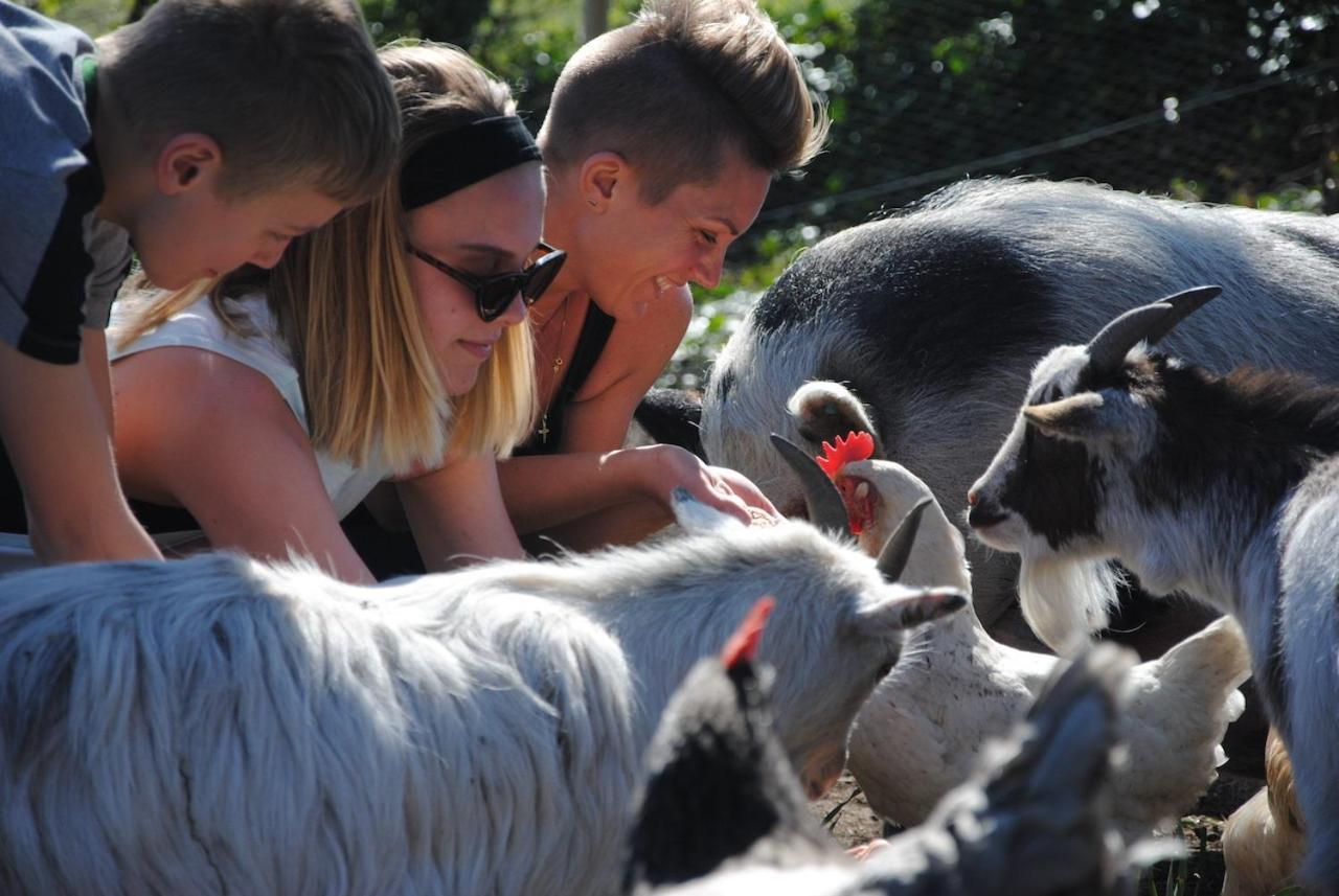 Delny Glamping And Farm Animals Hotel Invergordon Exterior foto